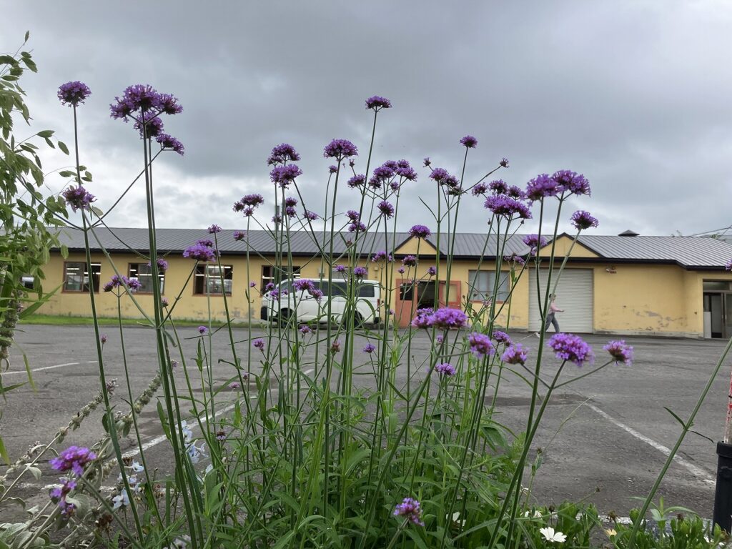 🌾すっきりしない月曜日に、心あたたまる準備を🍀
