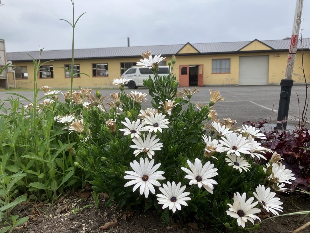 ☁️やさしい曇り空の水曜日、次の準備へ