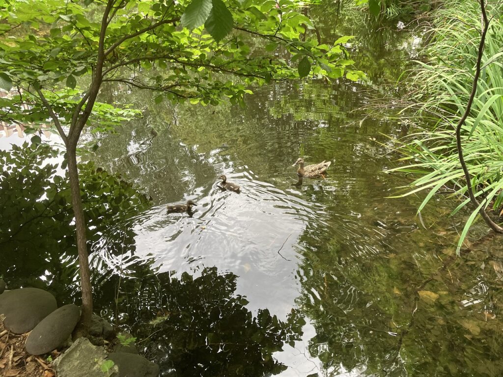 🎖感謝を胸に、次の一歩へ。北海道産業振興賞を受賞しました🌾