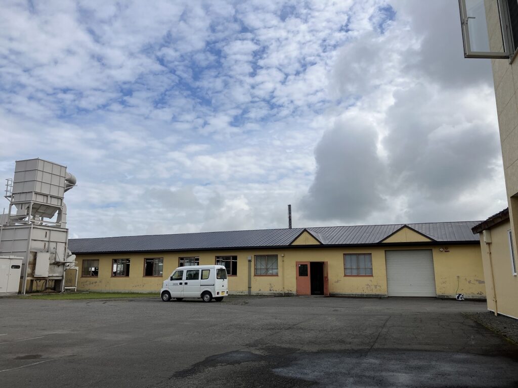 🌿お盆明け、夏の後半スタート