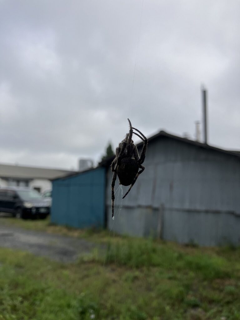 「モクモクフェスタ前日✨楽しみと準備の気持ち」