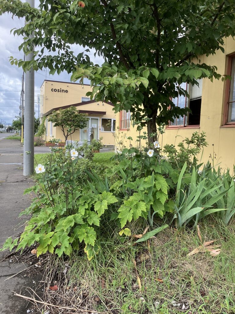 「モクモクフェスタの賑わいと、スツールのある暮らし」