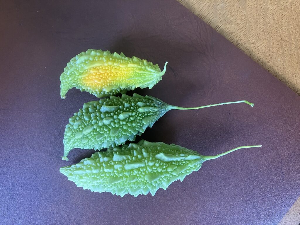 秋の深まりと、心地よい暮らしづくり