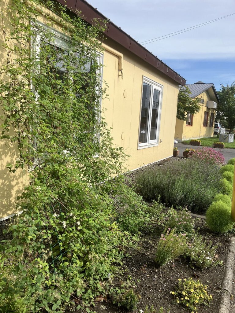 🌲 9月のはじまりとクリスマスツリー受注開始のお知らせ🎄