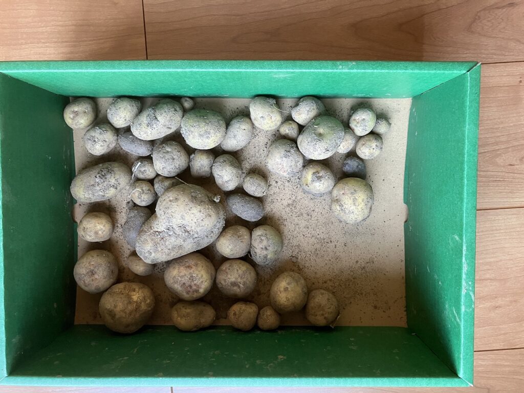 🌤 秋の訪れと、イベント満載の週末へ🍂