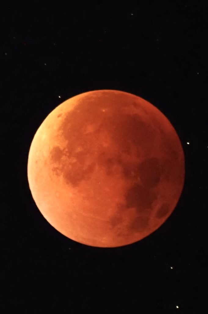 🌕 皆既月食と秋のフェア、そして蛇腹楽団🎶