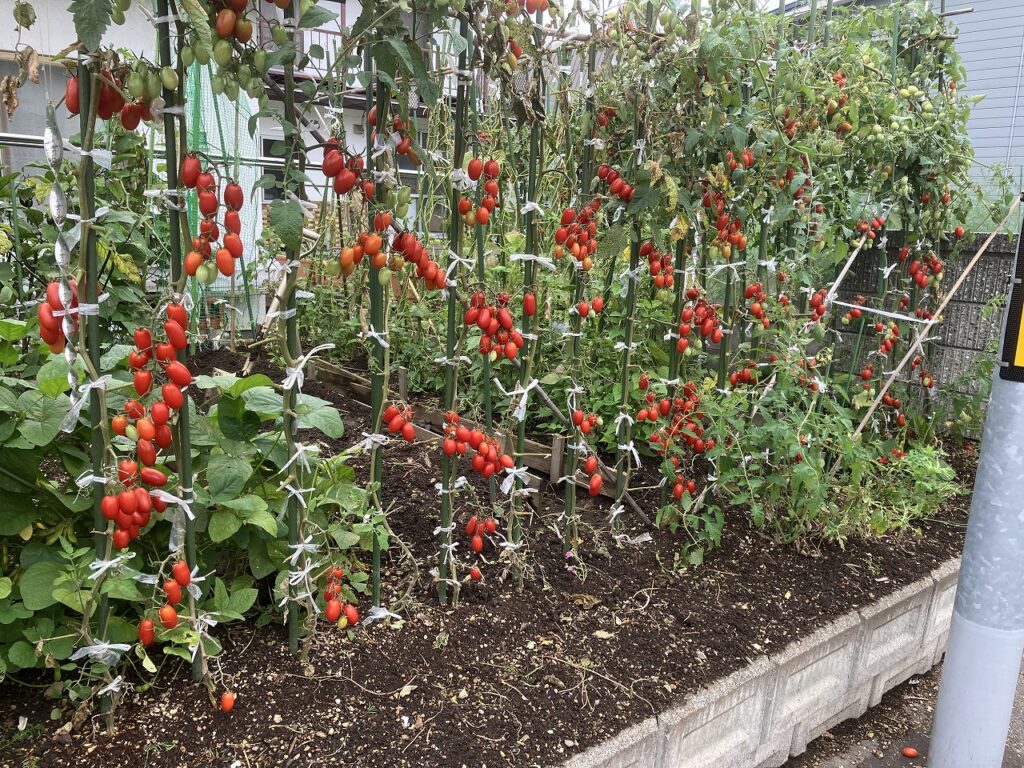 「秋の気配とコサイン旭川本店」