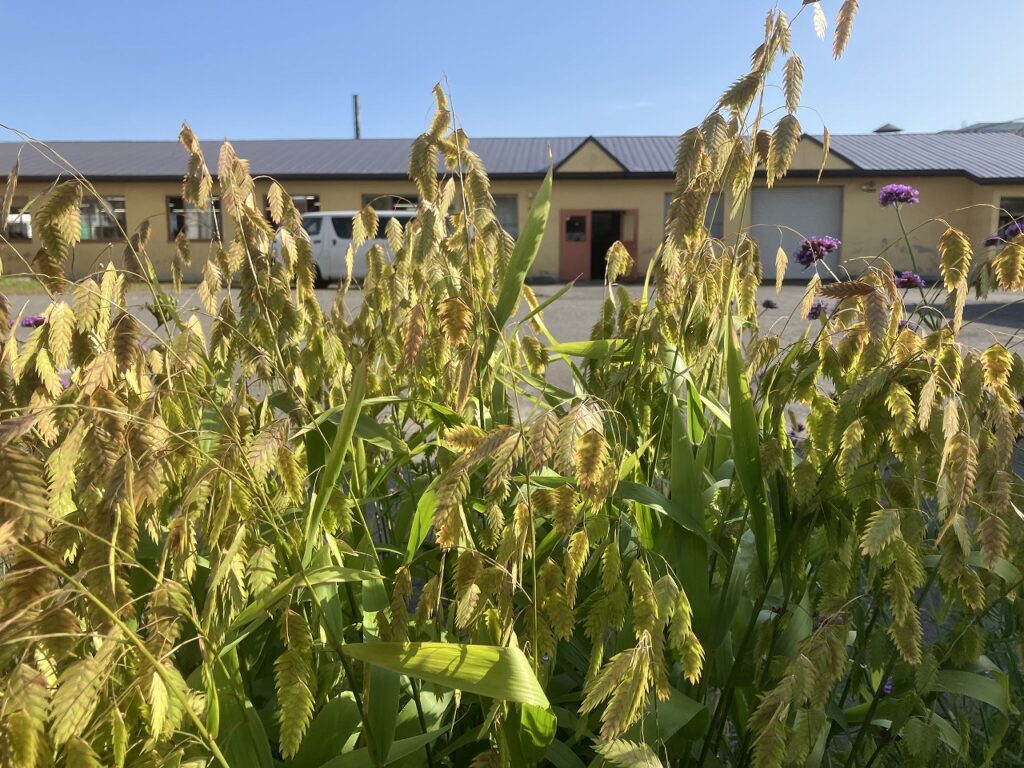 秋の気配を感じながら、心地よい時間を