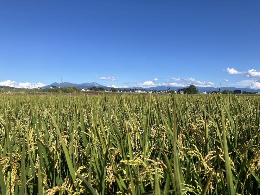 9月スタート！秋の気配とともに
