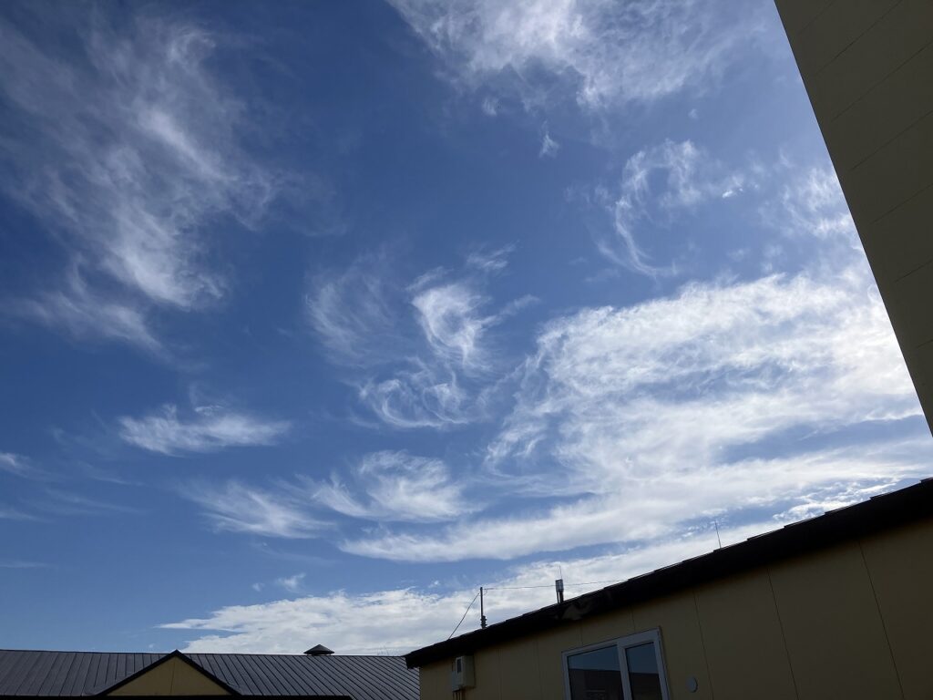 青空と緑、そして新しいつながりを求めて