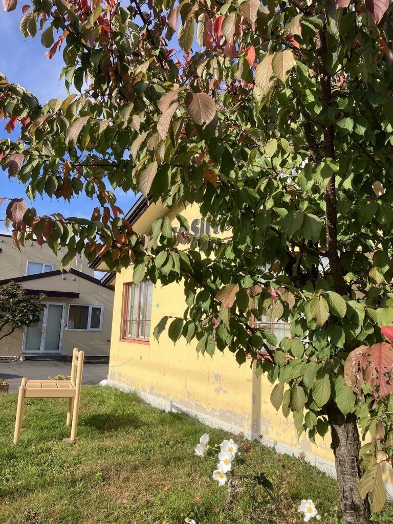 秋のはじまりと、空にかかる白い便り❄️