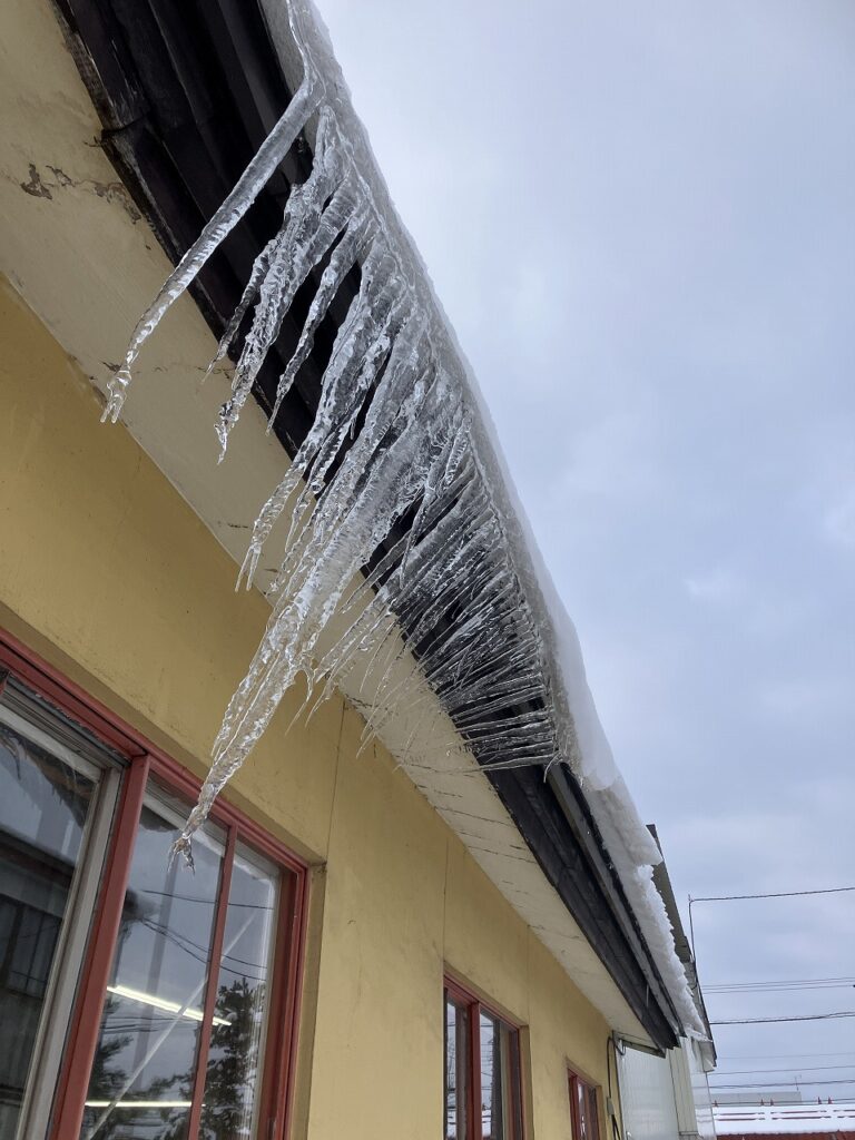屋根の雪どけと、冬の恵みを味わう朝❄️