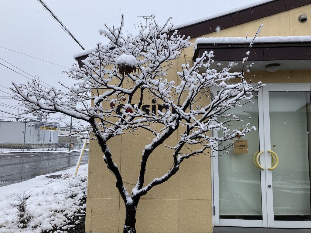 ❄️初雪の朝、静かな白に包まれて