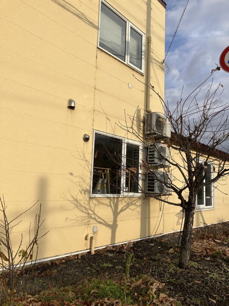 やさしい光に包まれた、今日のコサイン。