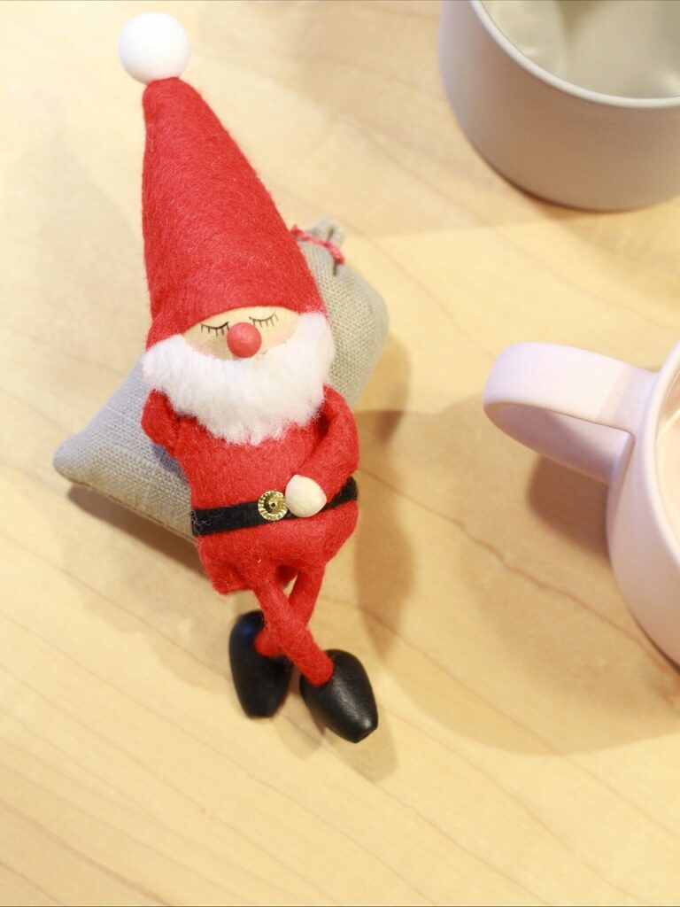 ❄️雪の朝、コサインの冬支度