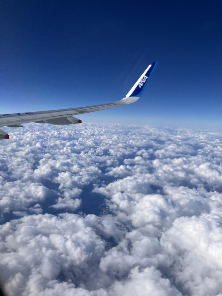 「雪どけの朝と、コサイン工房のあたたかな手仕事 ❄️✨」