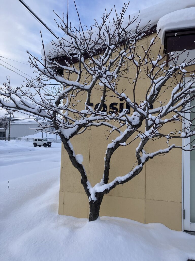 「季節が動き、仕事が始まる」